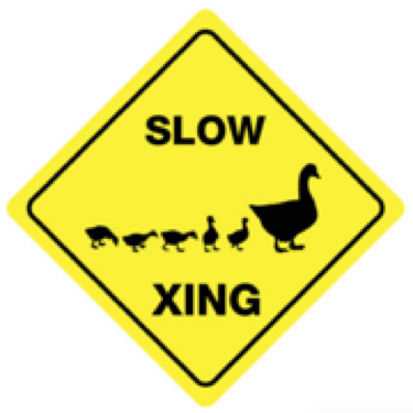 ../../_images/duckie-crossing.png