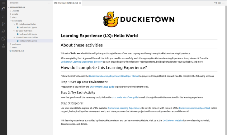 The Duckietown VSCode Learning Experience editor.