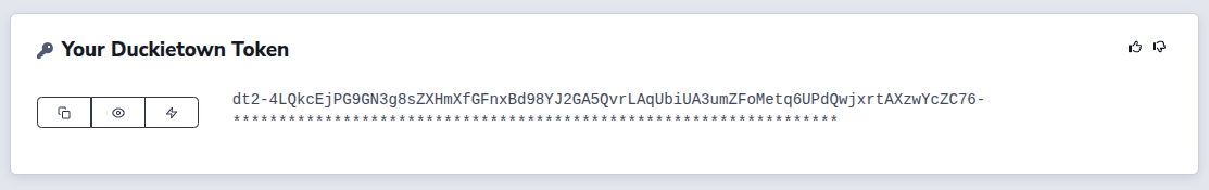 example duckietown token dt2